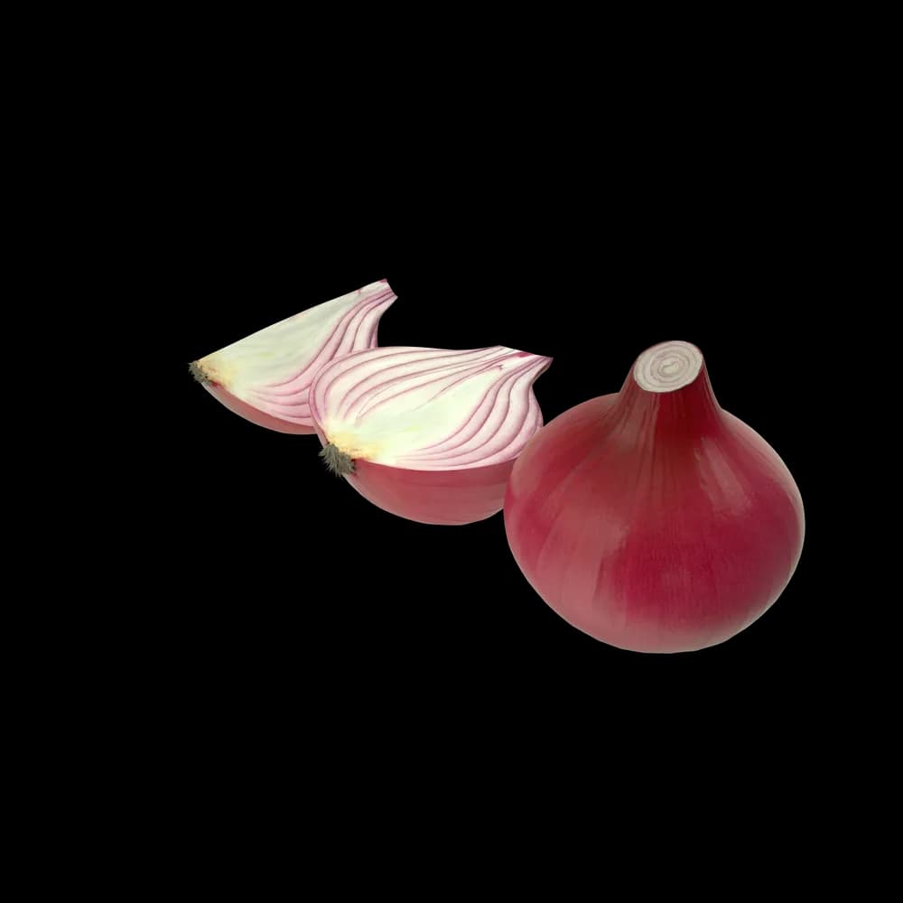 Red Onions — image 1